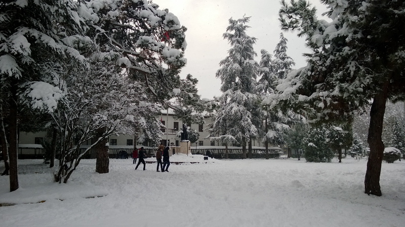 day, outdoors, real people, covering, beauty in nature, building, Winter Is Coming, snow, group of people, built structure, plant, leisure activity, sky
