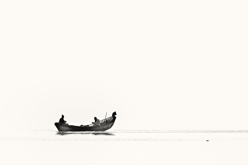 ocean, body, animal themes, sky, transportation, vertebrate, animals in the wild, waterfront, side view, rowing boat, dawn, sea, copy space, horizon, water