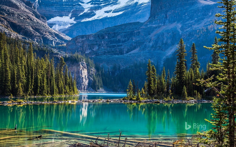 tranquil scene, mountain range, national, tranquility, day, park, yoho, formation, plant, no people, turquoise colored, land, nature, bing, reflection
