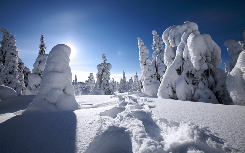 nature and landscape, 1080P, finland, winter