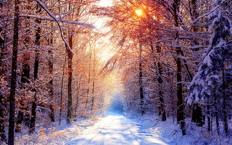 images, photography, 4K, Winter, hd, data5, background, 1080P, nature, 1920x1200