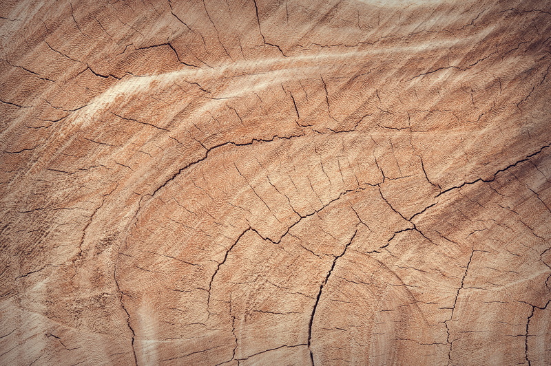 floor, surface, tree trunk, full frame, carpentry, tree, oak, design, color, textured effect, old, board, building, decorative, background, no people, antique