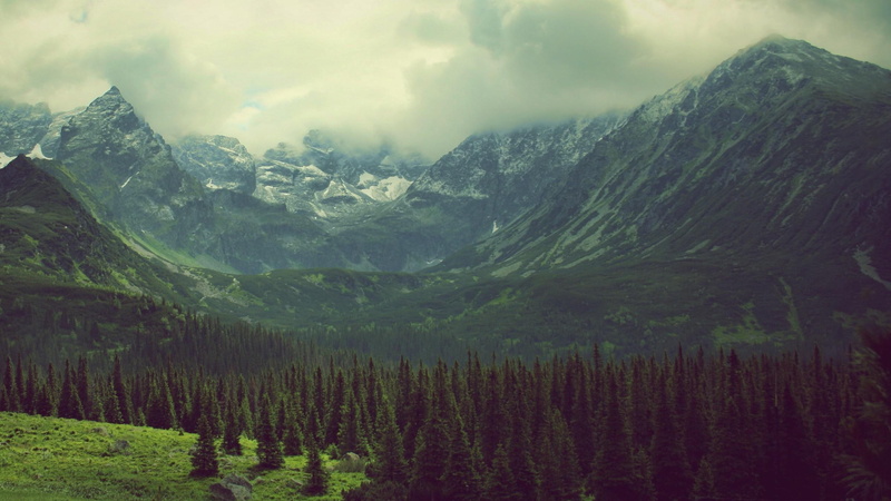 leafed, mountains, veil, green, cloud, nature, 2K, 2560x1440, covering, mountain, trees, tree, forest