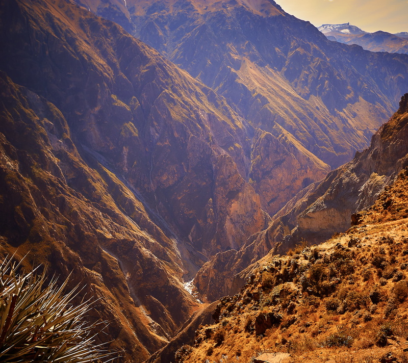scenics, travel, 2K, Mountain, mountain Range, photography, mountains, nature, valley, brown, landscape, PE, Arequipa, Colca Canyon, landscape photography