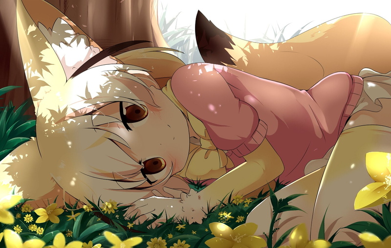 Anime, 1080P, Fennec (Kemono Friends), Kemono Friends