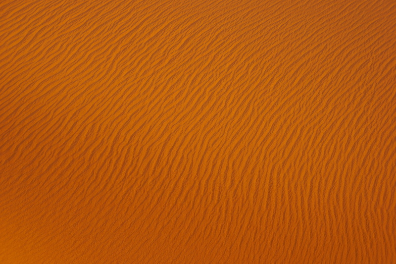 beauty in nature, yellow, wood, arid climate, copy space, material, dunes, outdoors, background, textured, textured Effect, backdrop, sand Dune, animal