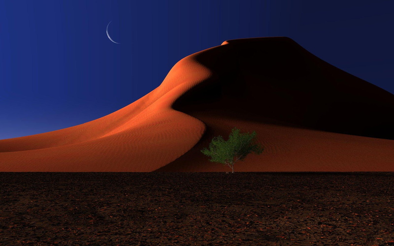 3d and abstract, 1080P, desert, eagle