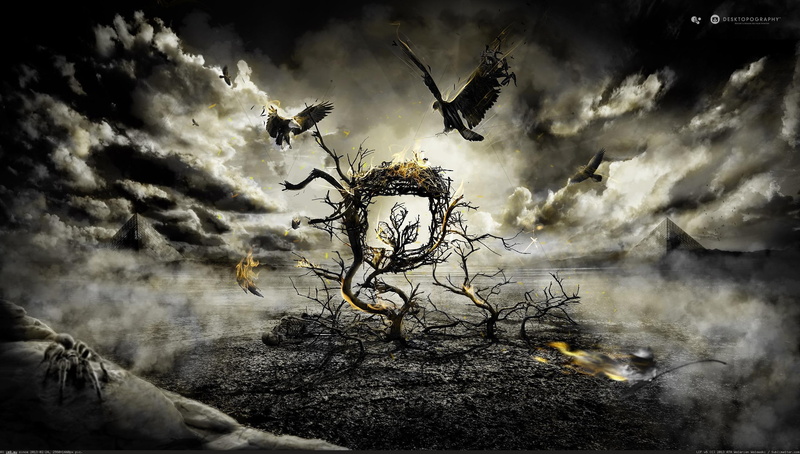 spider, fire, eagle, desert, 2K