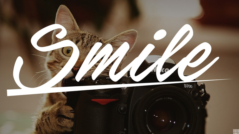 western script, animal, representation, heart shape, communication, outdoors, focus on foreground, mammal, camera, 1080P, flower, text, sign, brown, dark