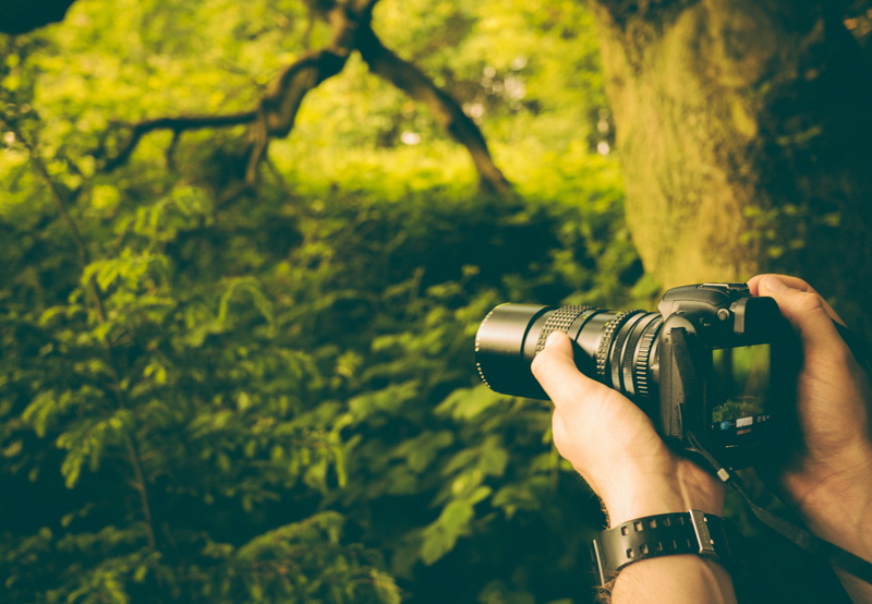 hand, real people, black, lifestyles, photographing, 4K, focus on foreground, day, human hand, modern, photographic equipment, leisure activity, digital single-lens reflex camera