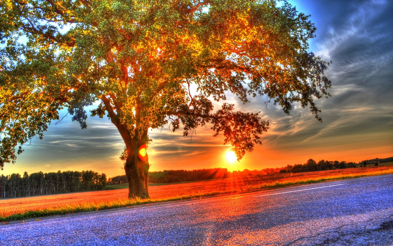 amazing, sunset, 2K, hdr, hd