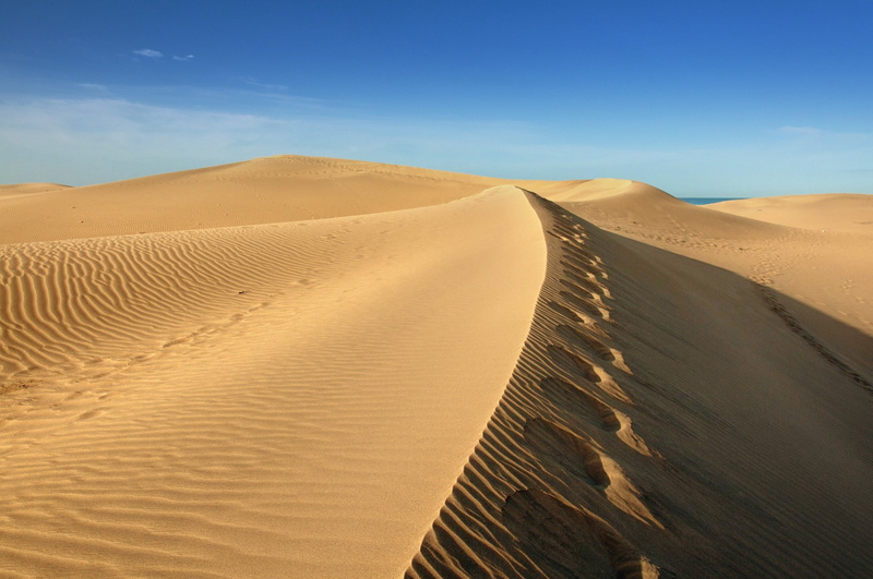 arid Climate, dry, sand Dune, tranquility, environment, clear Sky, erg Chebbi Dunes, africa, no People, arabia, yellow, adventure, scenics - nature, travel