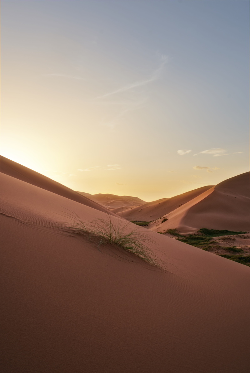 landscape, inviting, grass, remote, desert, 5K, tent, sahara, green, outdoors, nature, climate, environment, land, warm, sand, desolate, sunlight, erg chebbi