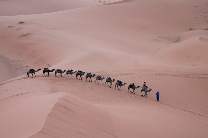 journey, person, heat - Temperature, sand Dune, landscape, morocco, travel, desert, 4K, adventure, walking, cammelli, sky, merzouga, sunset, scenics, africa