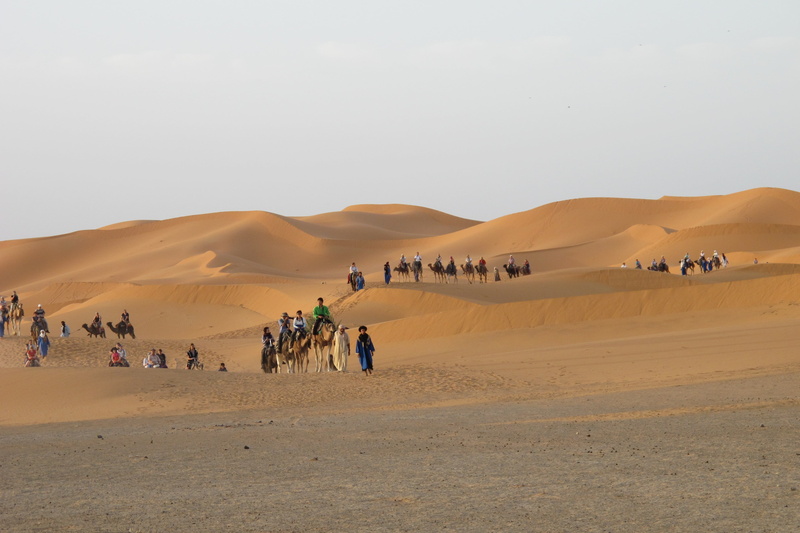 landscape, 2K, nature, sand, climate, sky, domestic animals, dunes, large group of people, outdoors, morocco, sand dune, scenics - nature, crowd, desert