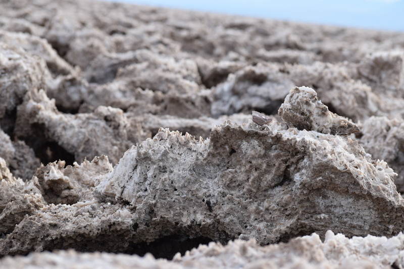 outdoors, selective focus, nature, 5K, extreme close-up, desert, close-up, environment, backgrounds, mineral, geology, sand, arid climate, macro, landscape