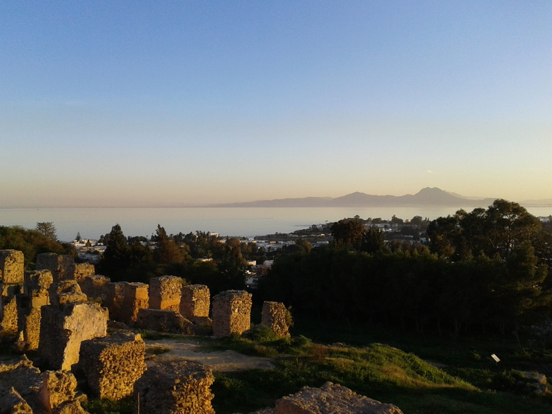 plant, nature, travel destinations, no people, sunset, archaeology, ruined, scenics - nature, travel, building exterior, built structure, tree, carthage