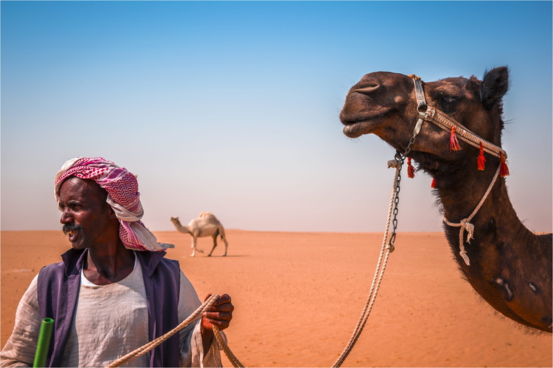 wasteland, hot, photography, turban, desert, nomad, kuwait, caravan, traditional clothing, portrait, sand, camel, daylight, 5K, outdoors, nature, transportation system