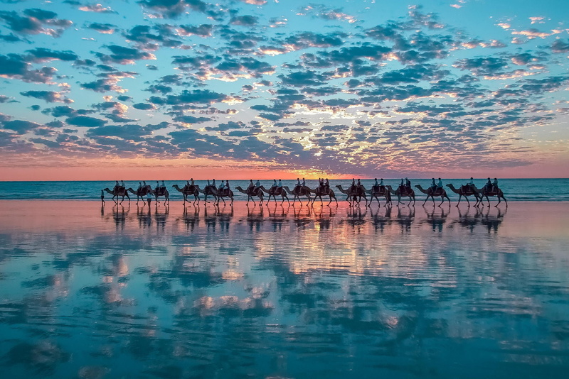 sunset, bedouin, stove, camels, mirroring, 1080P, water, clouds, nature