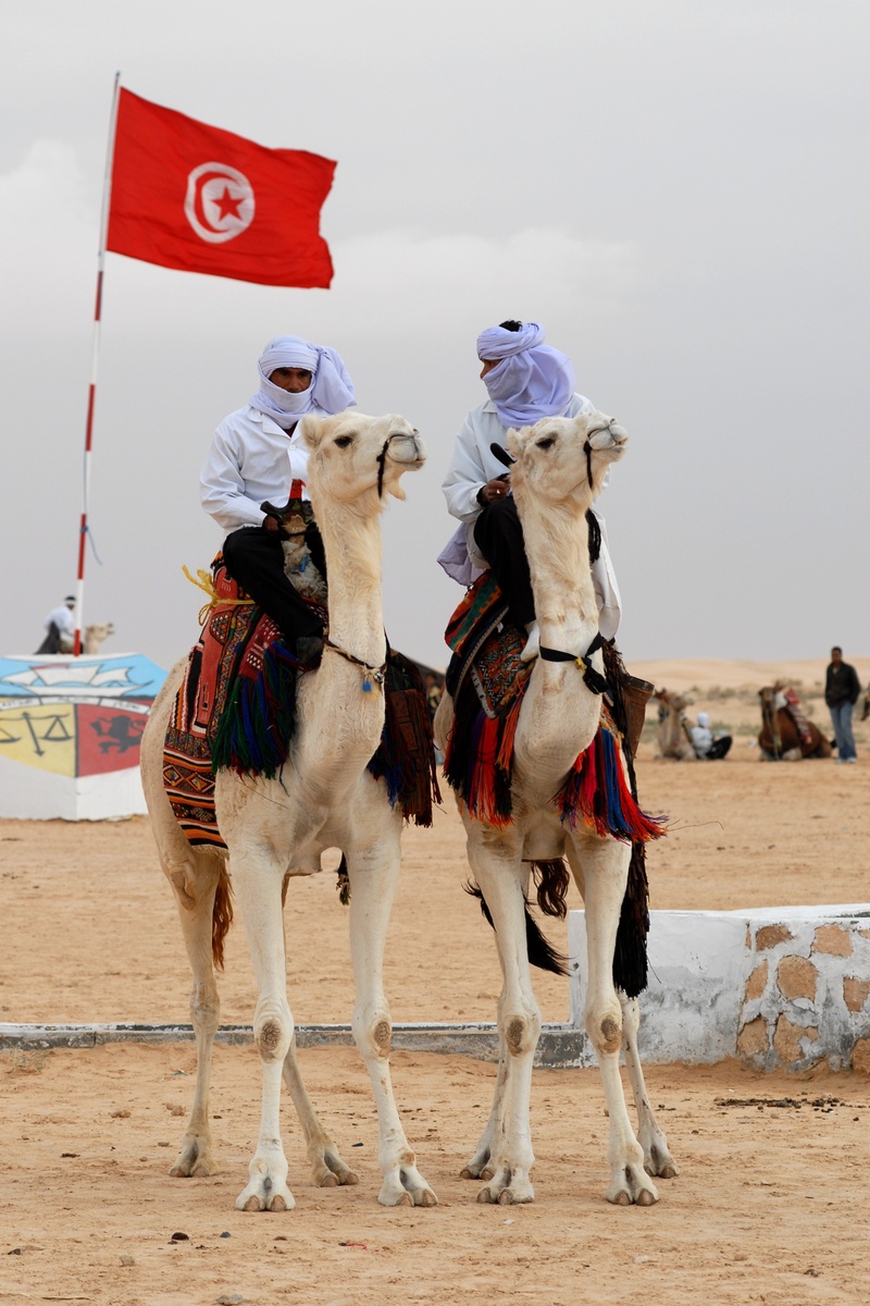 2K, animal wildlife, domestic, group of animals, land, pets, livestock, mammal, working animal, sand, nature, bedouin, vertebrate, animal, two animals