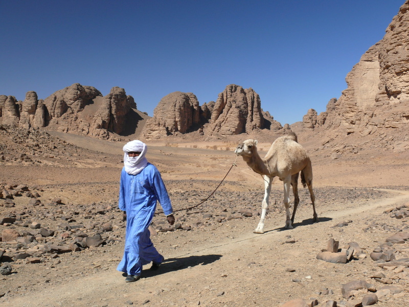 climate, full length, people, camel, blue, dromedary, land, desert, 2K, sand, sahara Desert, sunlight, nature, clear sky, one animal, mammal, day, algeria