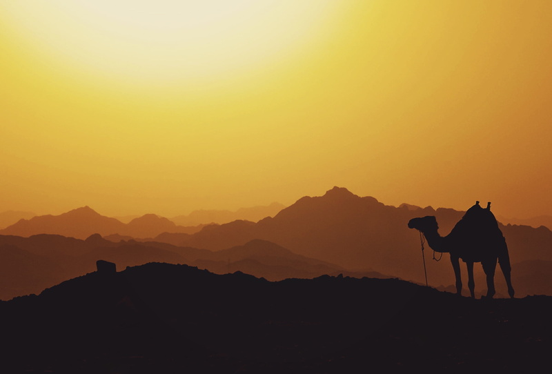valley, domestic animals, desert, cloud, animal, beauty in nature, mountain, domestic, outdoors, ridge, rajasthan, copy space, pets, highland, summit, camel