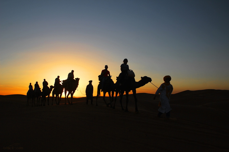 outdoors, real people, leisure activity, sky, clear sky, men, mammal, scenics - nature, silhouette, Desert, Dromedaries, group of people, women, large group of people