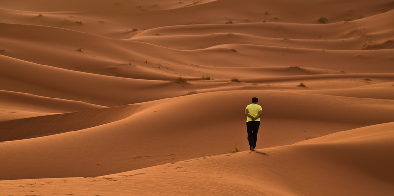 red, extreme terrain, sahara, contemplation, dry, dunes, sahara Desert, nature, africa, hot, arid climate, one person, solitude, standing, beauty in nature