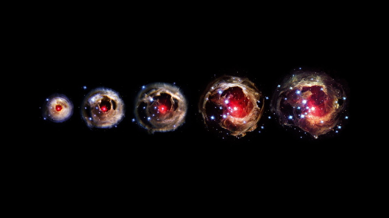 animal, digital, still life, fruit, black background, food and drink, order, group of objects, stars, space, close-up, planets, medium group of objects