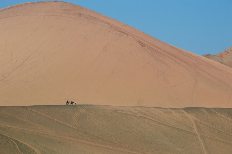 nature, hill, no people, 4K, camel, outdoors, sand dune, people, land, travel destinations, arid climate, sky, landscape, walking, sand trail, non-urban scene