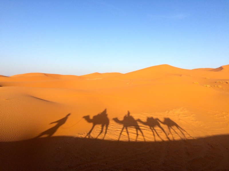 animal themes, silhouette, shadow, riding, landscape, 2K, sahara, three, arid climate, scenics - nature, hot, land, herbivorous, reflect, outdoors, africa
