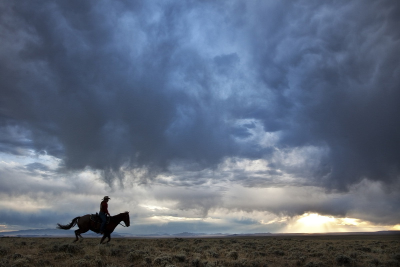 solitude, plains, outdoors, dusk, nature, cowboy, cloudy, horseback, man, twilight, west, one person, clouds, panorama, sunset, spirituality, 1080P, gallop