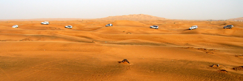 silver, environment, dunes, flying, scenics, white, no people, running, travel, animal wildlife, dubai, sand dune, emirates, scenics - nature, land, uae