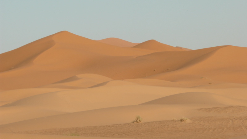 sahara Desert, landscape, sky, environment, morocco, nature, scenics - nature, dunes, mountain, desert, sahara, africa, animal wildlife, arid Climate, dry