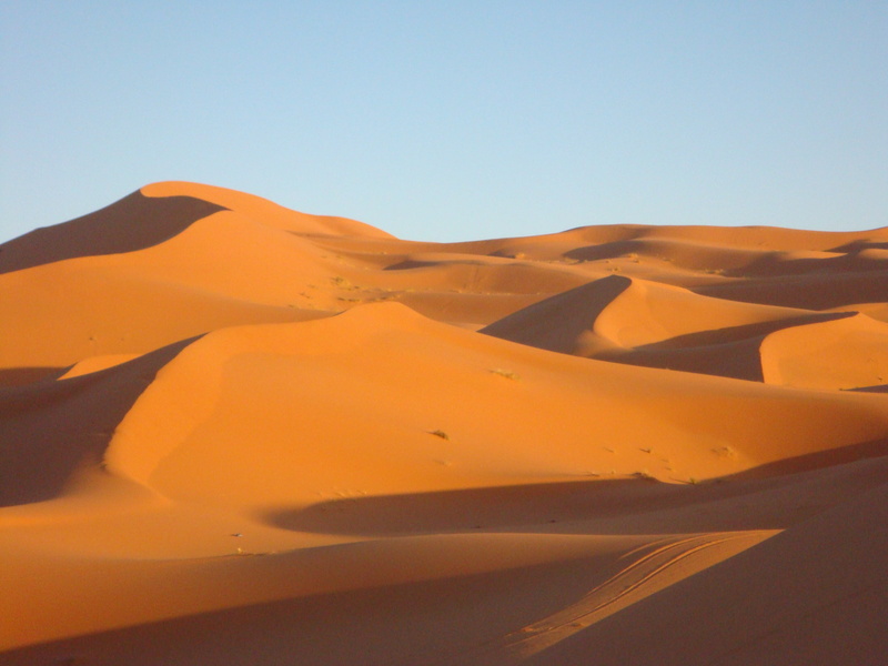 scenics - nature, non-urban scene, wilderness, outdoors, sky, sahara Desert, day, dune, no people, africa, blue, clear sky, morocco, sahara, remote, environment
