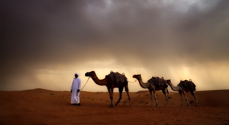 land, sand dune, camel, environment, domestic animals, beside, thobe, mammal, desert, climate, arid climate, people, 1080P, travel destinations, travel