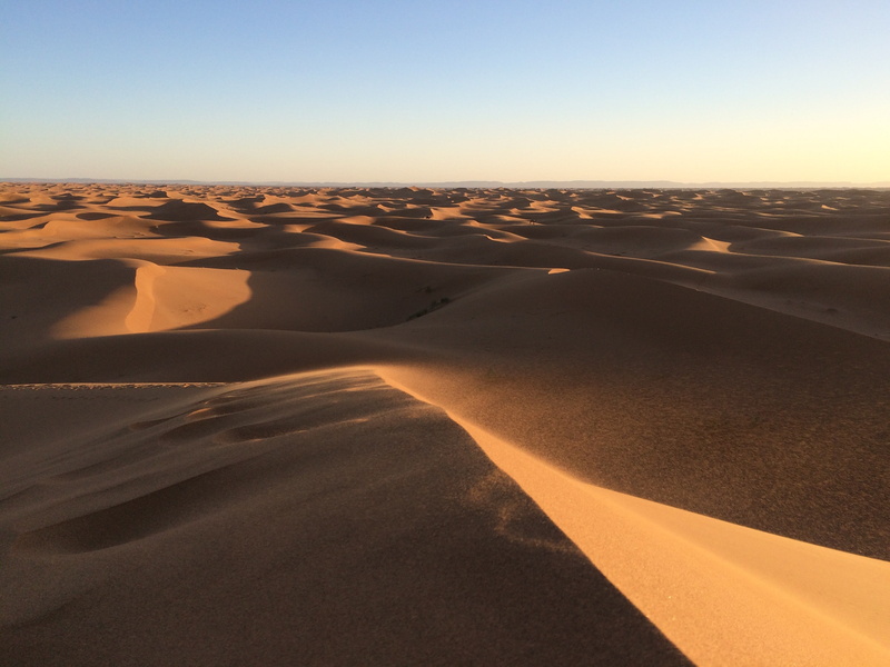 2K, sand, landscape, camels, desert, nature, dunes