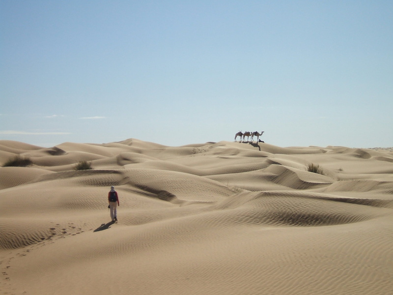 non-urban scene, sand, outdoors, clear sky, environment, adults only, caravan, sand dune, beauty in nature, full length, dunes, men, 2K, real people, leisure activity