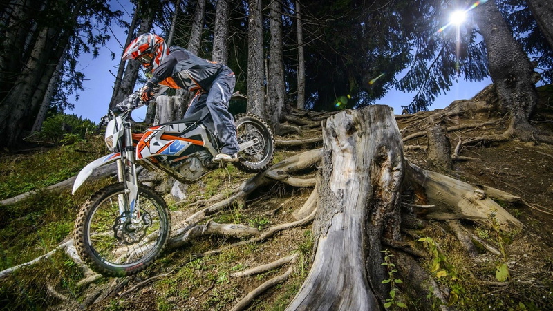 field, forest, tree trunk, mountain bike, trunk, helmet, sport, wheel, motorcycle, mode of transportation, land, day, nature, plant, extreme sports, 1080P