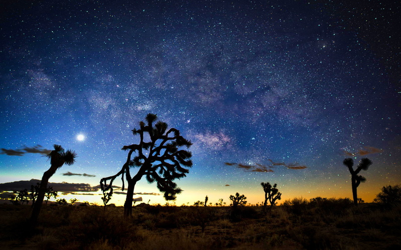 milky, usa, rocks, tree, national, 2K, cactus, desert, hd, night, way, park, landscapes, california, joshua