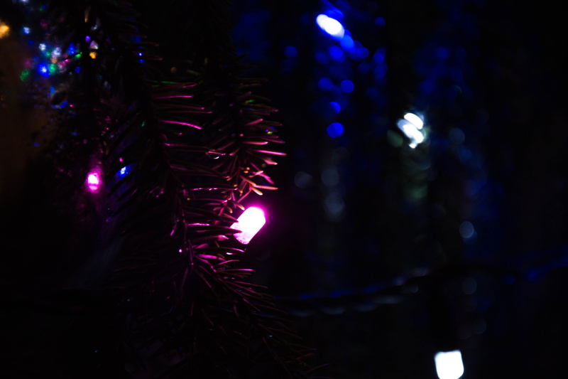 close-up, blue, tree, pine, 5K, violet, x-mas, lights, christmas lights, christmas decoration, christmas tree, celebration, light, holiday, decoration