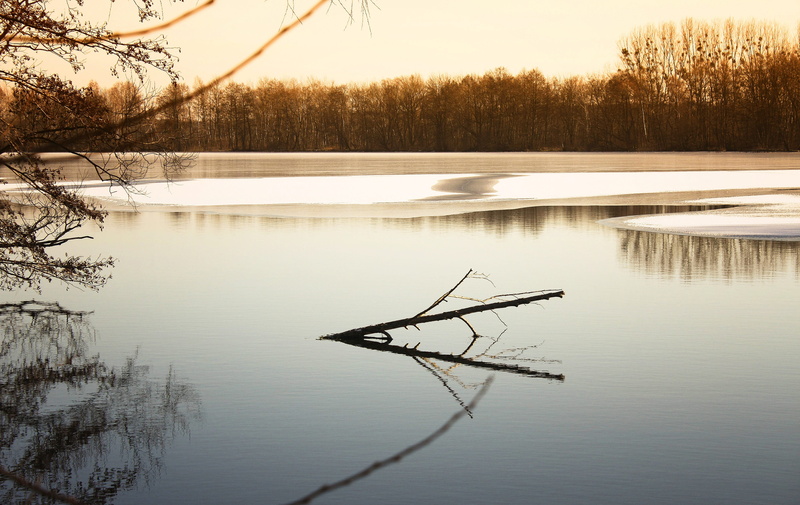 not cold, time passes, sky, photo, seasons of the year, view, water, outdoors, loneliness, winter, beauty in nature, 4K, branch, reflection, reverie, frozen