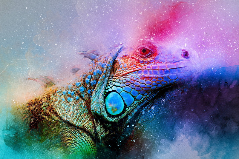 reptile, iguana, colorful, water, sea, swimming, no people, undersea, one animal, animal wildlife, multi Colored, animal body part, marine, tropical Climate