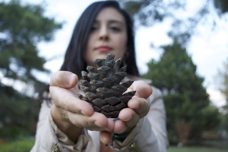 woman, adult, portrait, 4K, outdoors, plant, fir cone, headshot, human hand, hands cupped, tree, fruit, person, human body part, pinecone, front view