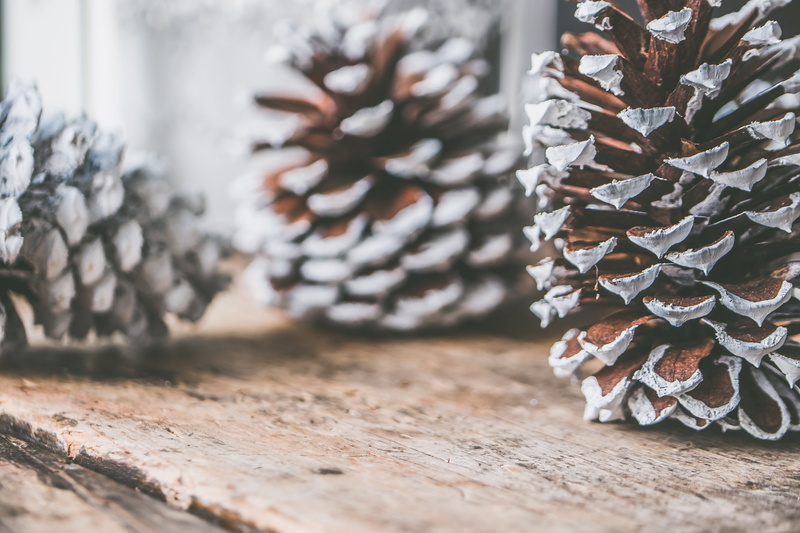 decorate, nature, tradition, large group of objects, wood, pine cone, cones, dry, cone, christmas decor, stack, day, ornament, table, close-up, no people