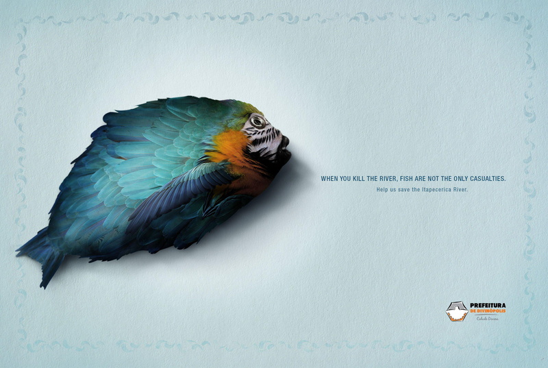 fishes, tropical, psychedelic, fish, bird, black, artwork, blue, 2K, macaw, parrot, orange, pictures, art