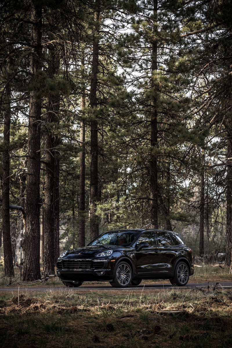 outdoors, no people, growth, transportation, day, car, non-urban scene, plant, nature, 2014, tree trunk, porsche, tree, cayenne, land vehicle, motor vehicle