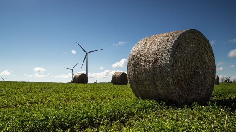 farm, michigan, nature, Windmill Farm, 2K, rolls, morning, environment, field, four, landscape, blue sky, bale, windmills, summer, grass  blue, Mid Michigan