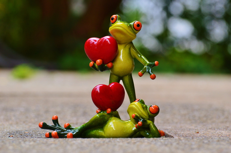 frogs, toy, animal, two, focus on foreground, representation, cute, green color, freshness, fun, healthy eating, food, fruit, selective focus, figure, red