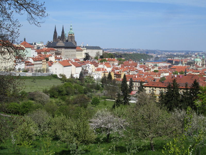 day, Vista, plant, tree, Prague, town, 4K, city, architecture, petrin, travel destinations, built structure, place of worship, residential district, townscape